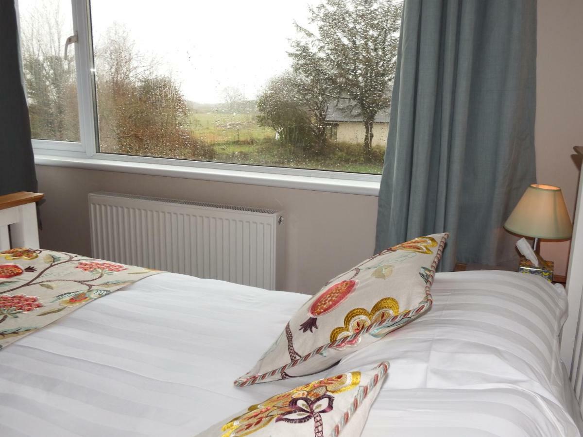 セント・デイビッズ Ty Helyg Bed & Breakfast エクステリア 写真